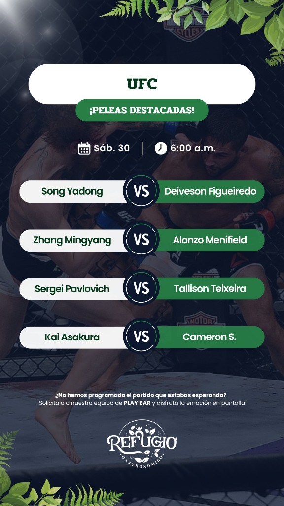 UFC — Peleas destacadas
